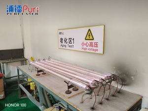 puri laser 2609 (1).jpg